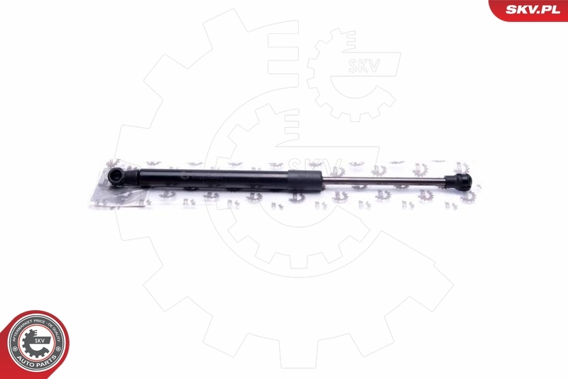 Gas Spring, boot/cargo area